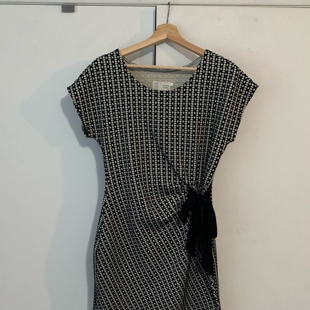 Anthropologie Saturday Sunday Isabel dress - Picture 3 of 4